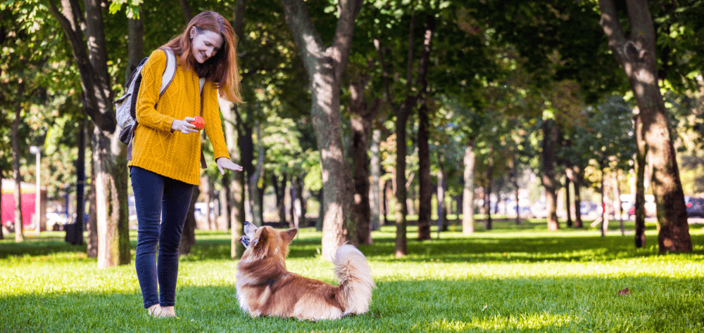 <img src="gdzie-kupić-mieszkanie-we-Wrocławiu.jpg"alt="Kobieta w żółtej kurtce z psem na spacerze w parku">
